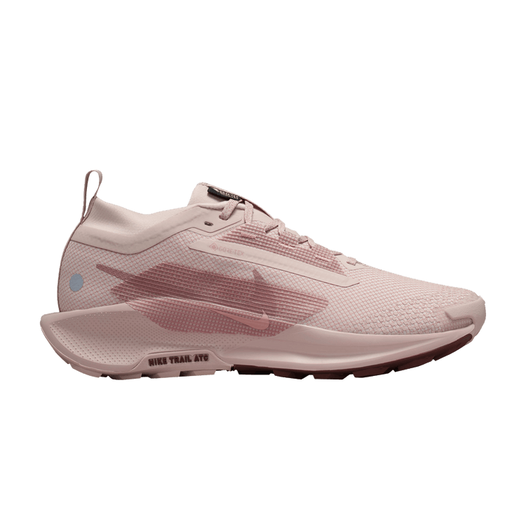 Nike Pegasus Trail 5 GORE-TEX 'Pink Oxford'