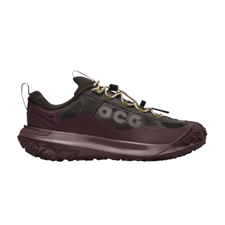 Nike ACG Mountain Fly 2 Low GORE-TEX 'Velvet Brown'