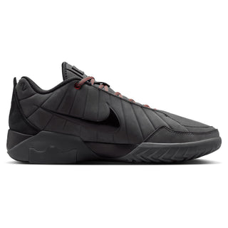 Nike Lebron Witness IX