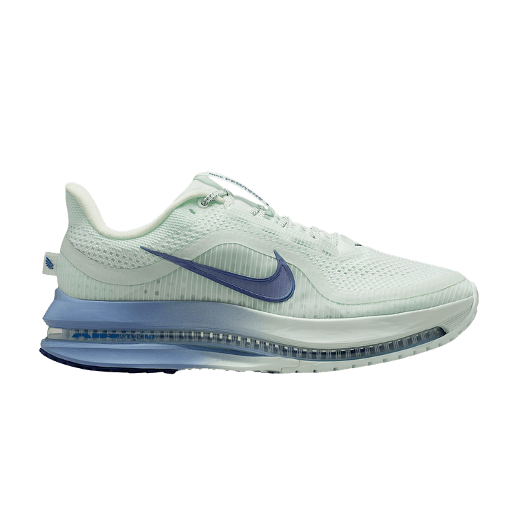 Nike Pegasus Premium 'Barely Green Work Blue'