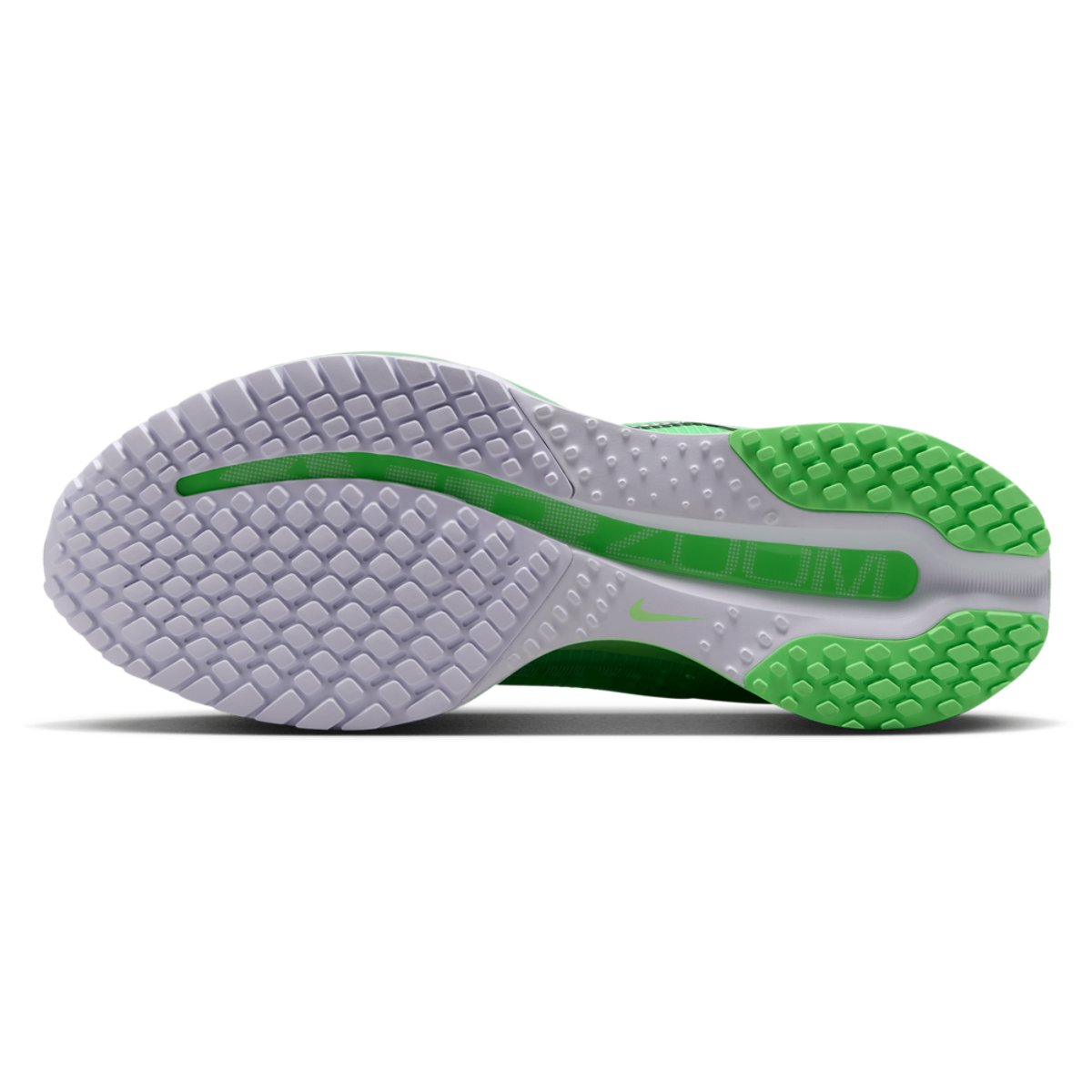 Nike Pegasus Premium