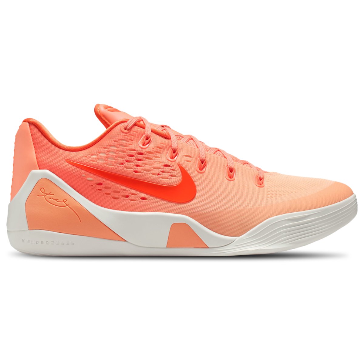 Nike Kobe IX Elite Low EM Protro