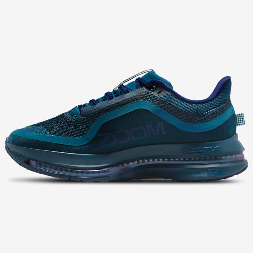 Nike Pegasus Premium NA39