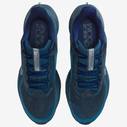 Nike Pegasus Premium NA39