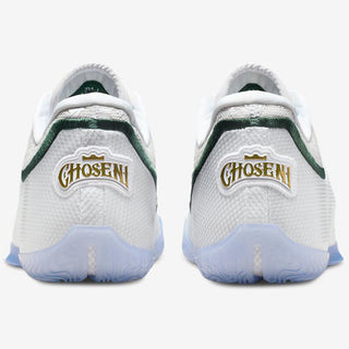 Nike Lebron XXIII