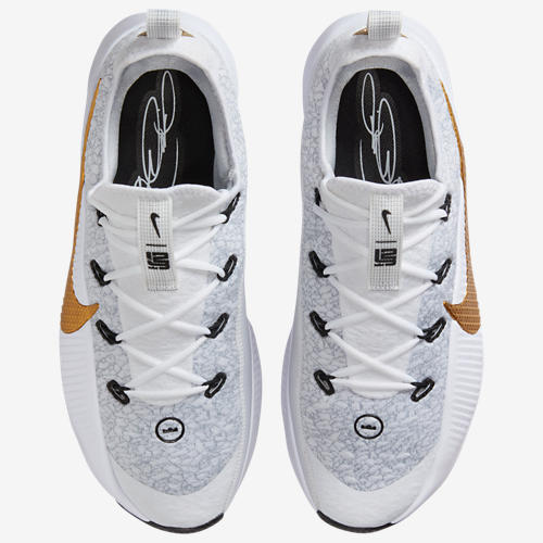 Nike Lebron TR 1