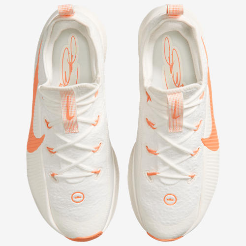 Nike Lebron TR 1