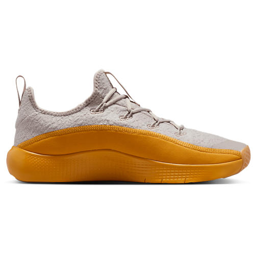 Nike Lebron TR 1