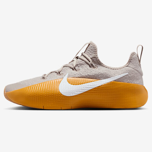 Nike Lebron TR 1