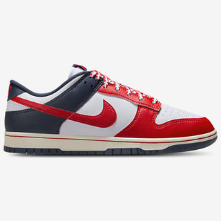 Nike Dunk Low Retro NA72