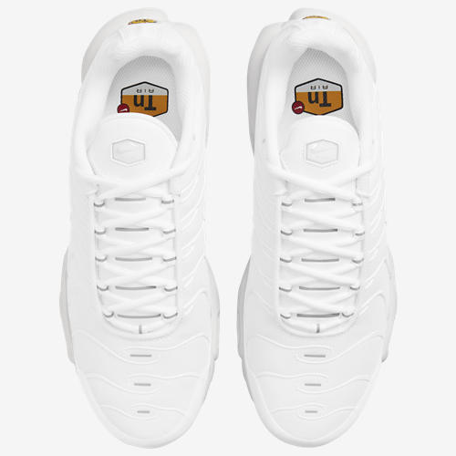 Nike Air Max Plus
