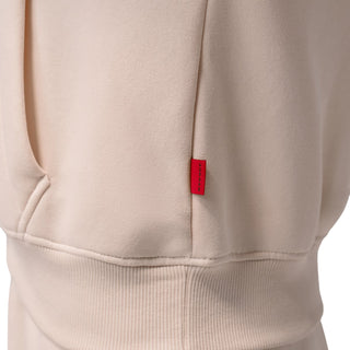 Jordan Brooklyn Fleece BB Pullover Hoodie