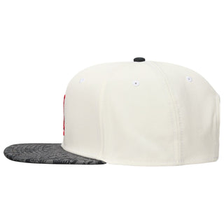 Jordan Pro Cap
