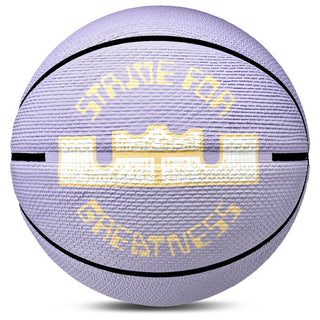 Nike Lebron Playground Basketball