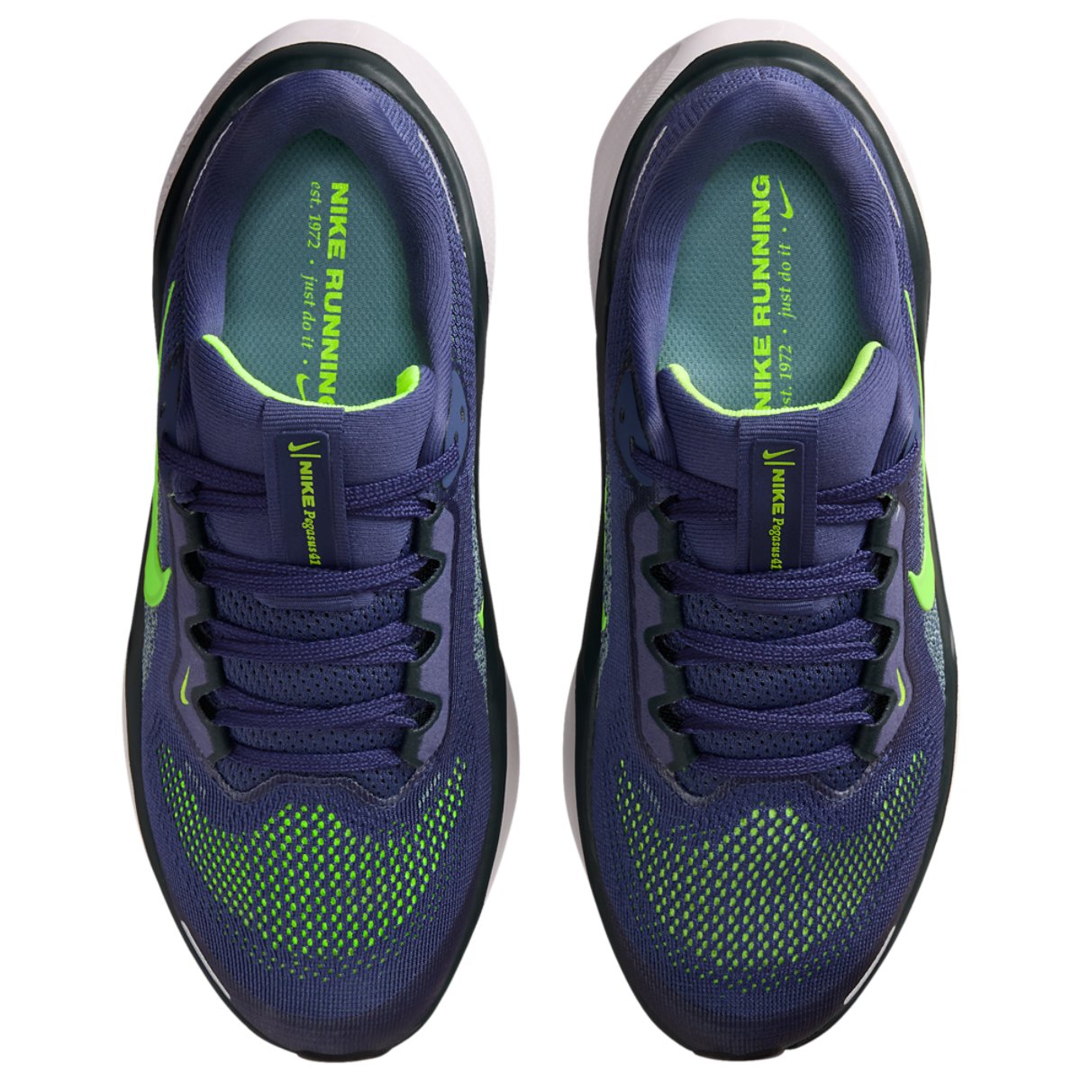 Nike Air Zoom Pegasus 41