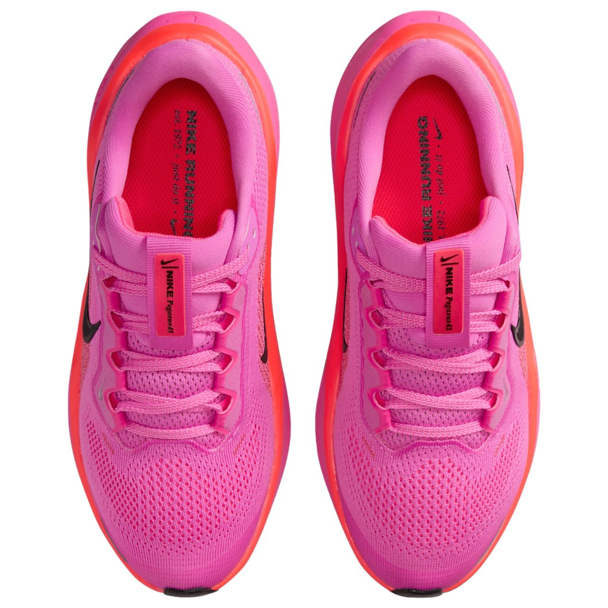 Nike Air Zoom Pegasus 41