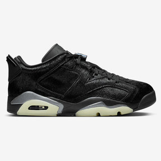 Jordan Retro 6 Low