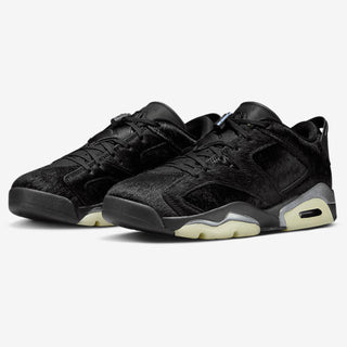 Jordan Retro 6 Low