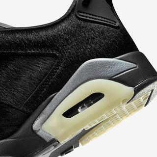 Jordan Retro 6 Low