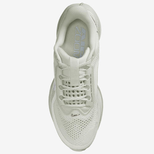 Nike Pegasus Premium