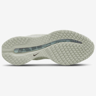 Nike Pegasus Premium