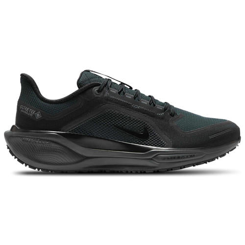 Nike Air ZOOM Pegasus 41 GTX