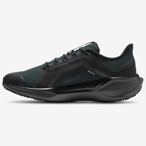 Nike Air ZOOM Pegasus 41 GTX