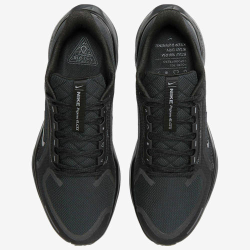 Nike Air ZOOM Pegasus 41 GTX