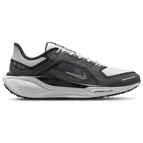 Nike Air ZOOM Pegasus 41 GTX
