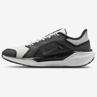Nike Air ZOOM Pegasus 41 GTX
