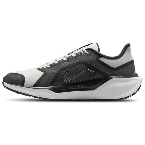 Nike Air ZOOM Pegasus 41 GTX
