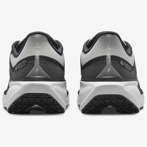 Nike Air ZOOM Pegasus 41 GTX