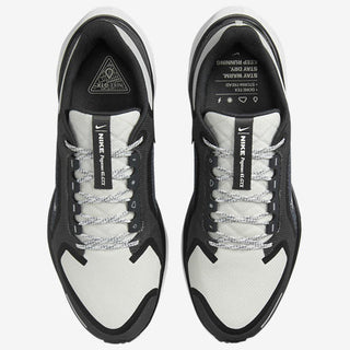 Nike Air ZOOM Pegasus 41 GTX