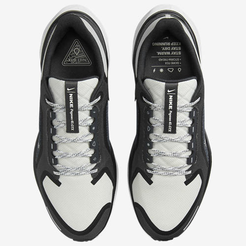 Nike Air ZOOM Pegasus 41 GTX