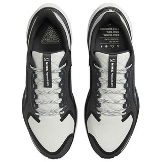 Nike Air ZOOM Pegasus 41 GTX