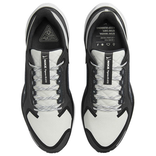Nike Air ZOOM Pegasus 41 GTX