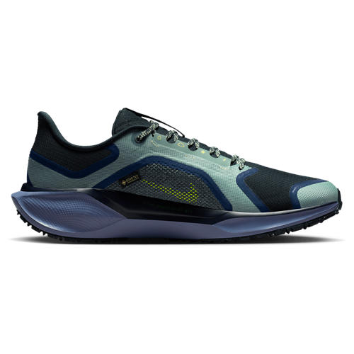 Nike Air ZOOM Pegasus 41 GTX
