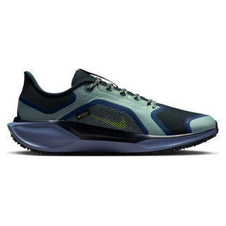 Nike Air ZOOM Pegasus 41 GTX