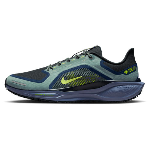 Nike Air ZOOM Pegasus 41 GTX