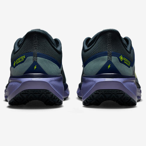 Nike Air ZOOM Pegasus 41 GTX