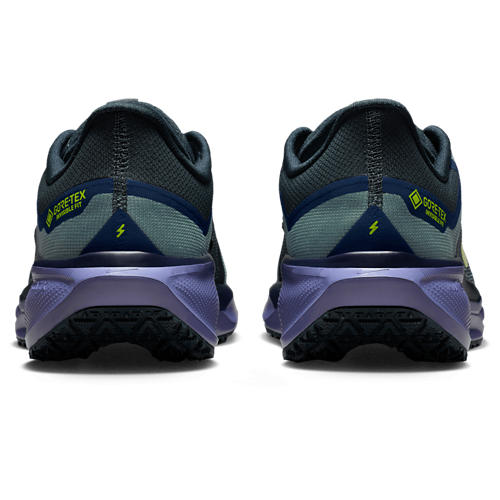 Nike Air ZOOM Pegasus 41 GTX