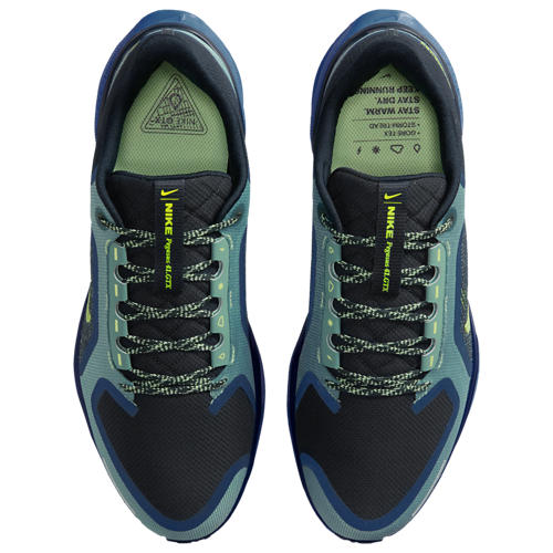 Nike Air ZOOM Pegasus 41 GTX