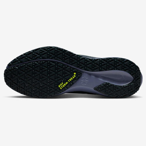 Nike Air ZOOM Pegasus 41 GTX