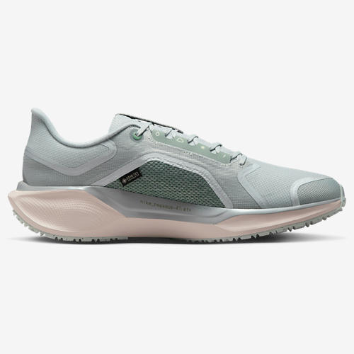 Nike Air ZOOM Pegasus 41 GTX