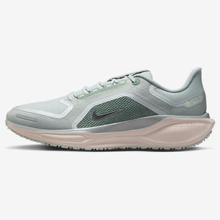 Nike Air ZOOM Pegasus 41 GTX