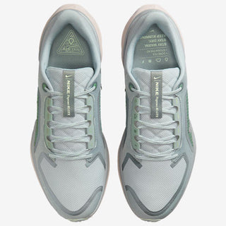 Nike Air ZOOM Pegasus 41 GTX