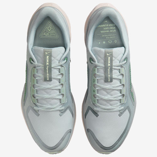 Nike Air ZOOM Pegasus 41 GTX