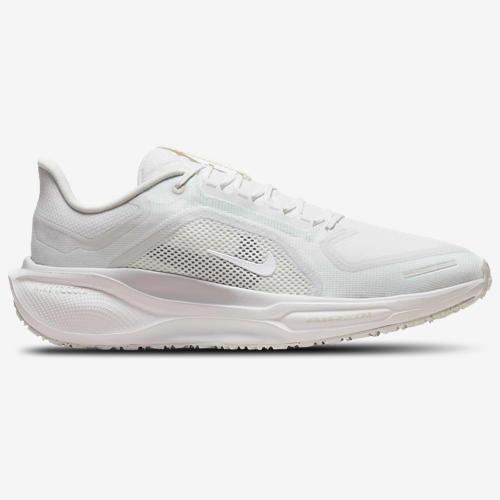 Nike Air ZOOM Pegasus 41 GTX