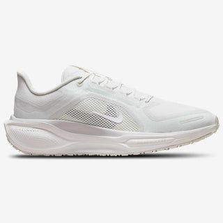 Nike Air ZOOM Pegasus 41 GTX