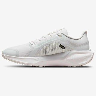 Nike Air ZOOM Pegasus 41 GTX